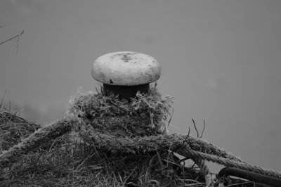 Tiendra  Tiendra pas _4337622729_l.jpg